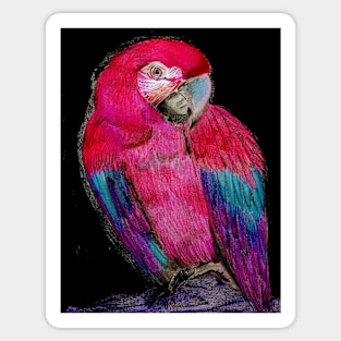 BRIGHT PINK TROPICAL PARROT MACAW DECO POSTER DRAWING PRINT ART Sticker